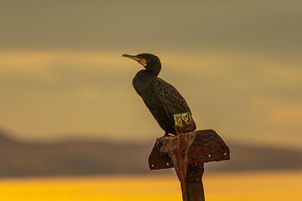Cultivating Mindful Moments: Creating Space for ⁢Personal Growth