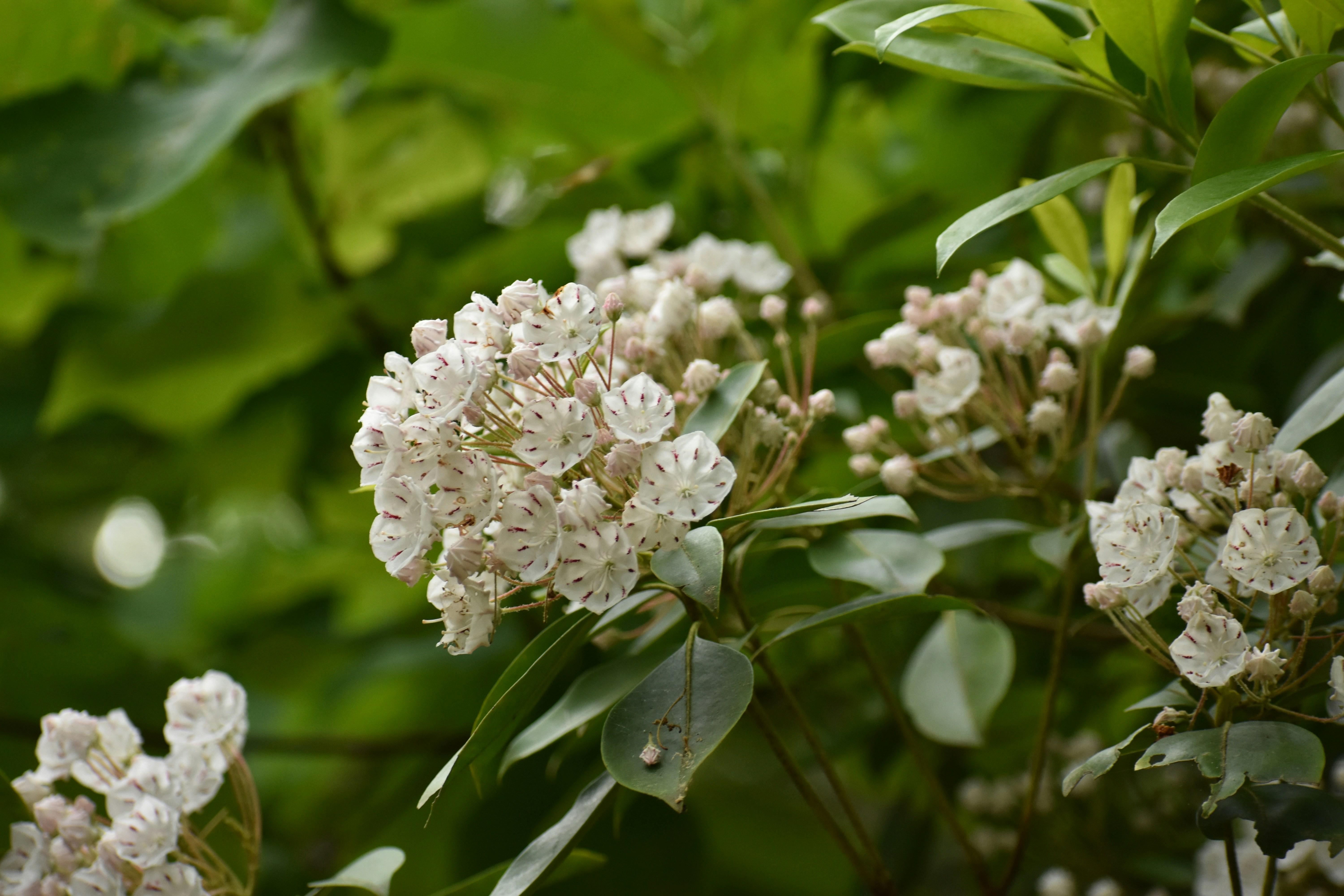 Practical Strategies‍ for Nurturing Self-Compassion
