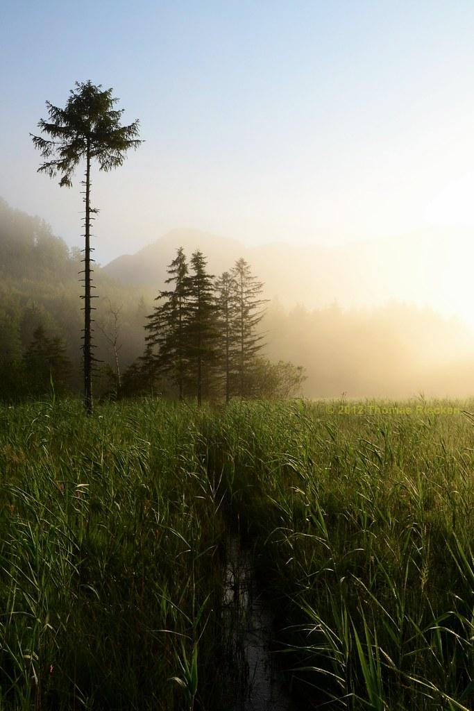 The Power of Nature in Daily Routines