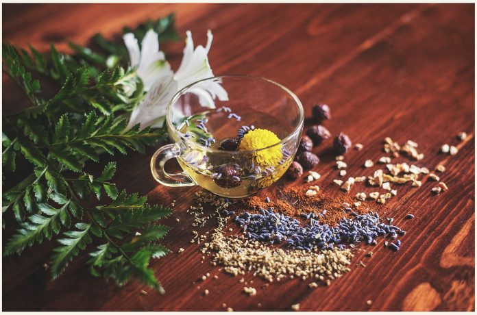 Should individuals rely on herbal teas and supplements for immune support