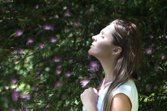 Easy Steps to Cultivate Mindfulness and Reduce Daily Stress