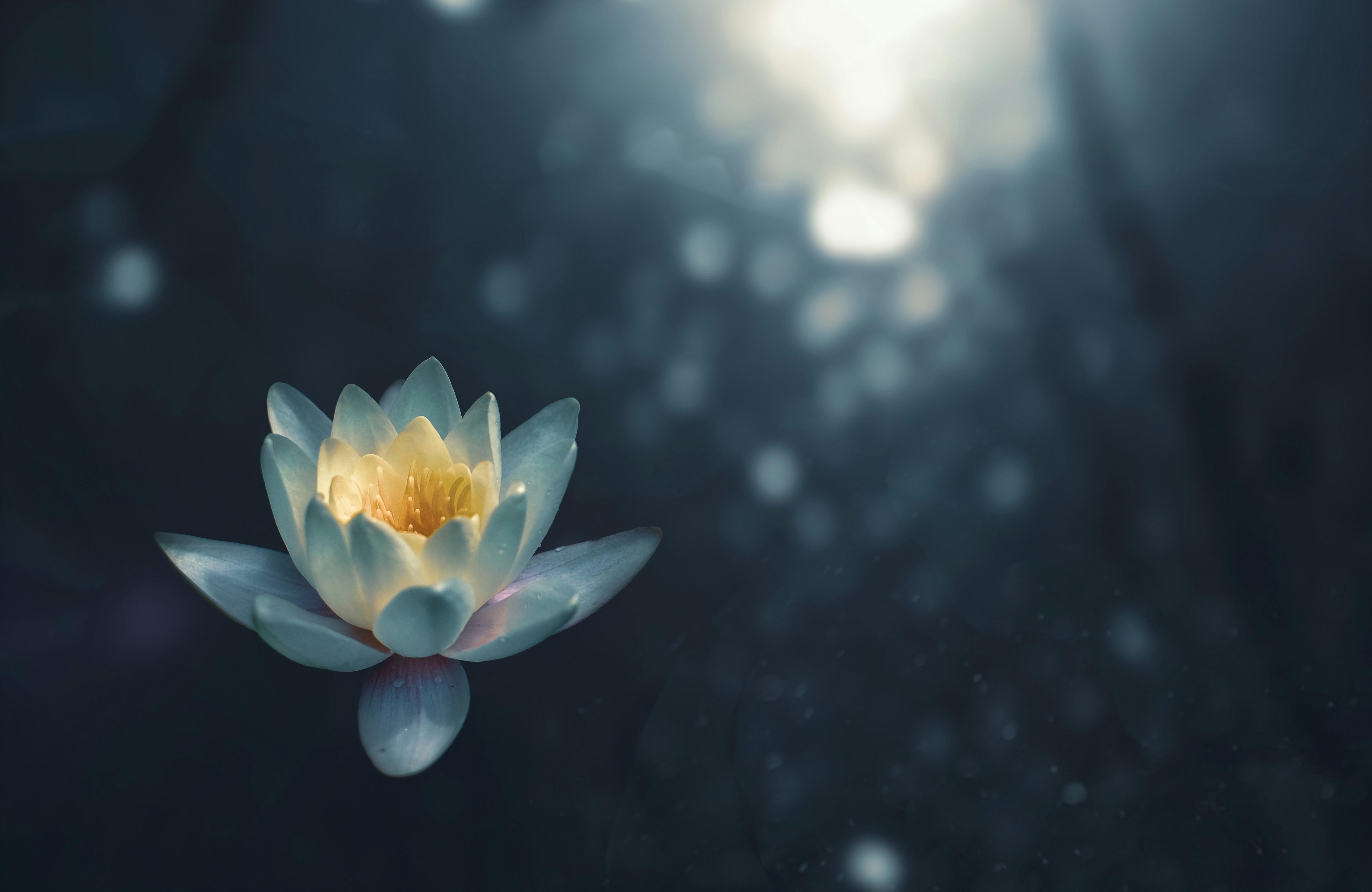 Cultivating Mental Clarity Through Meditation